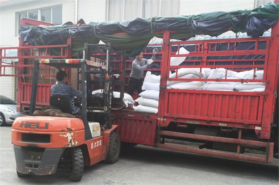 貝利佳物流運輸